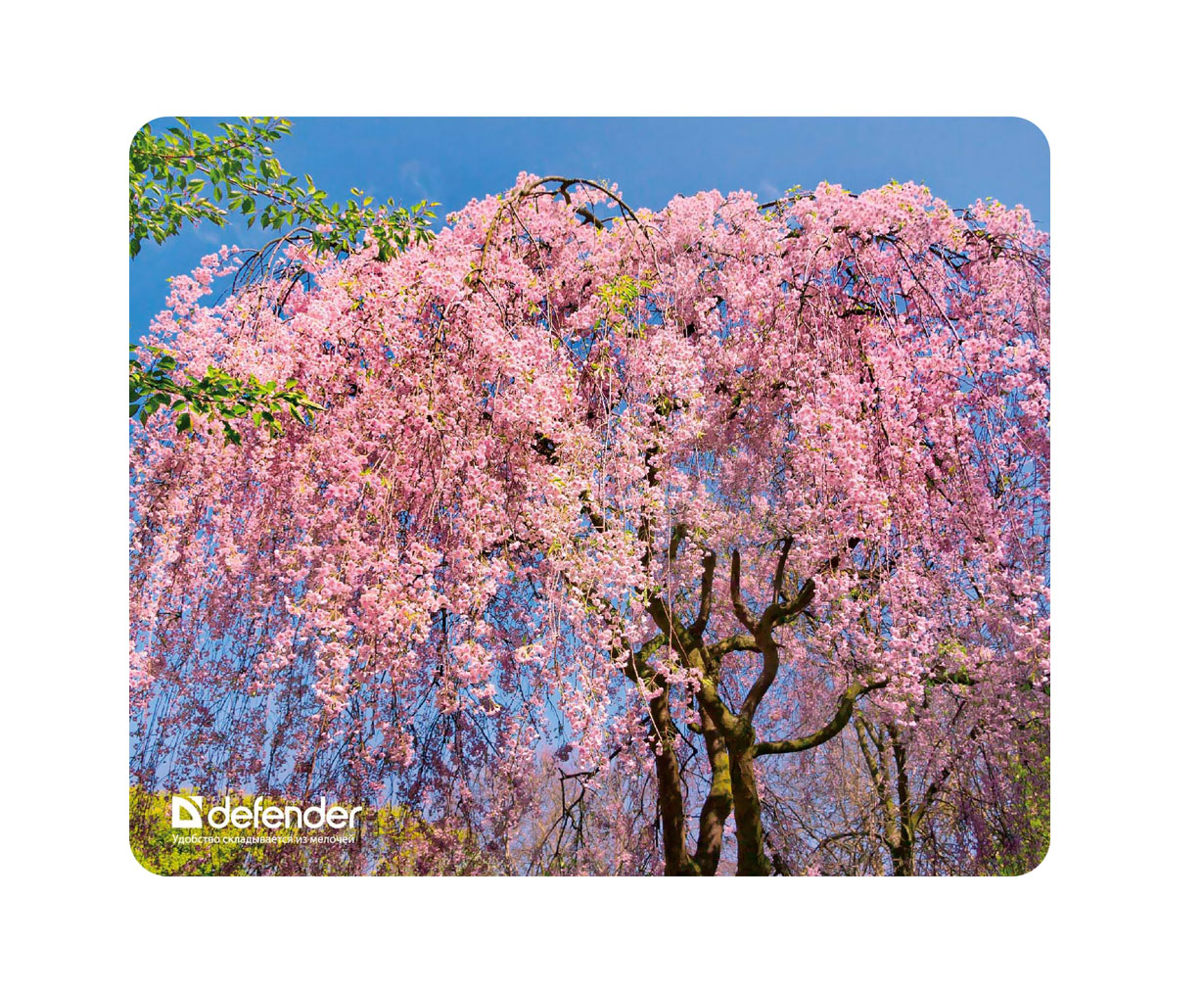 Defender Коврик для мыши Silk Pad Nature Цветущее дерево 230x190x1.6мм тканевый